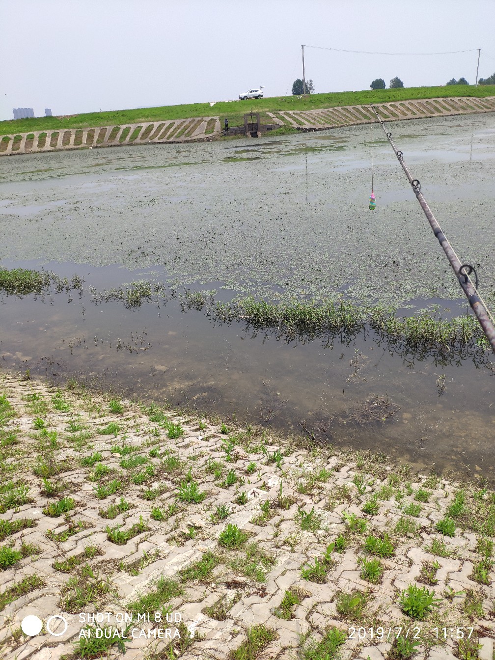 黑鱼钓上岸了怎么办,黑鱼新手