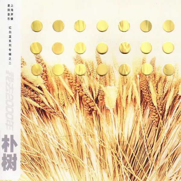 为什么朴树这么火,为什么朴树价格这么高