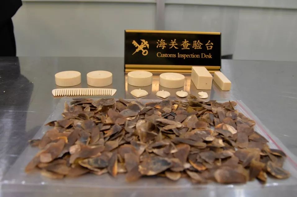 出国旅游需带日用品,义乌小商品出国必备