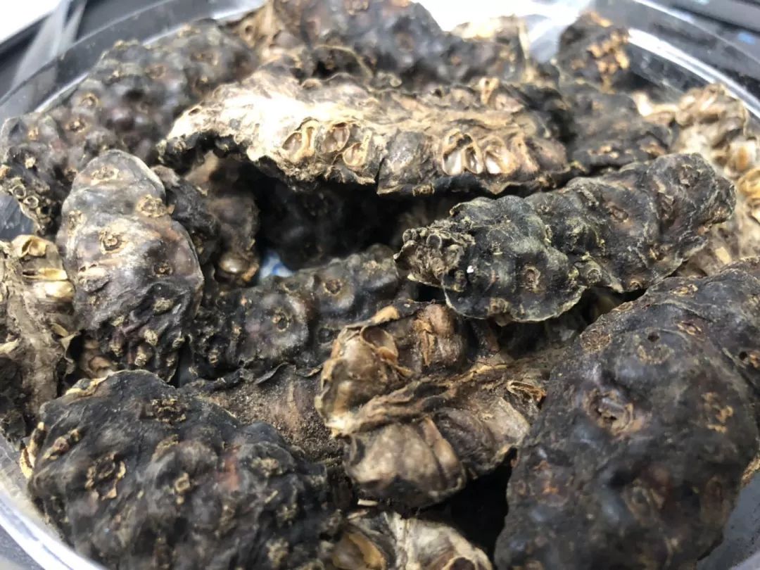 出国旅游需带日用品,义乌小商品出国必备