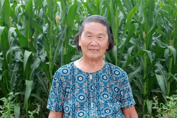 赵县有没有小山村,赵县最南边的村