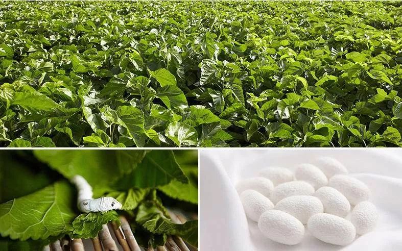 一条好的裤子内里做工,一条好裤子穿出的高级感