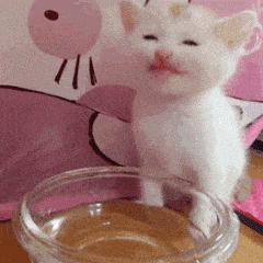 女神突然回归视频,女神复出风采依旧