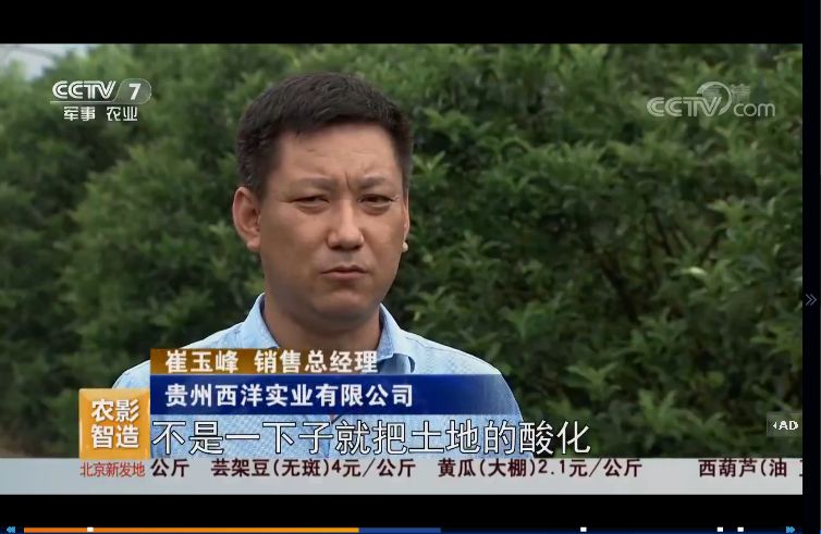 西洋肥业转为西洋实业,西洋肥业最新消息