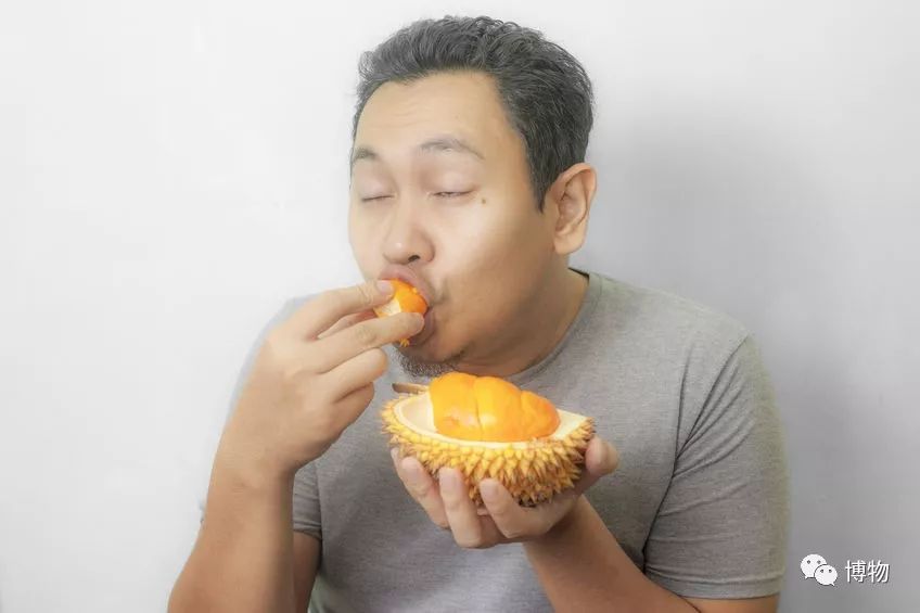榴莲到底是啥味道,榴莲到底是甜的还是臭的