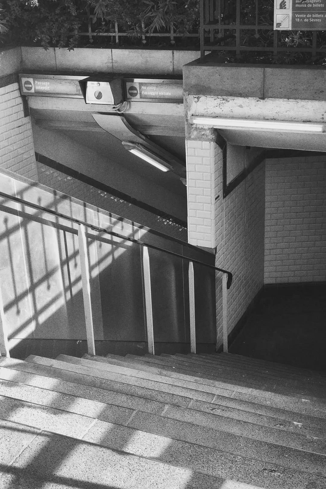 走出成都｜幸运的人，才可以在巴黎自由迷失