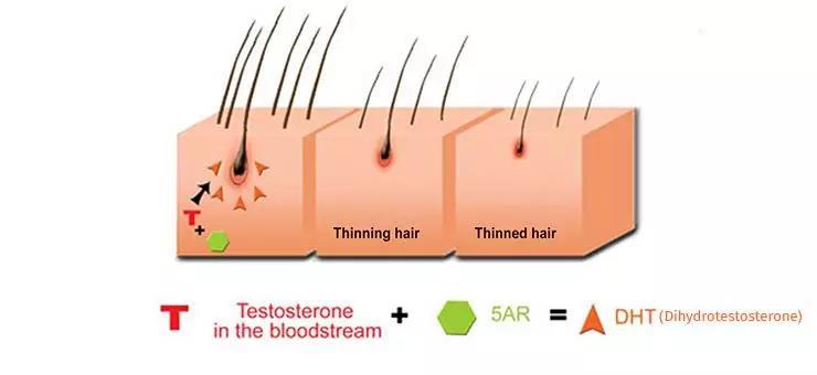 4岁儿童长胡须正常吗,4岁小孩长胡须