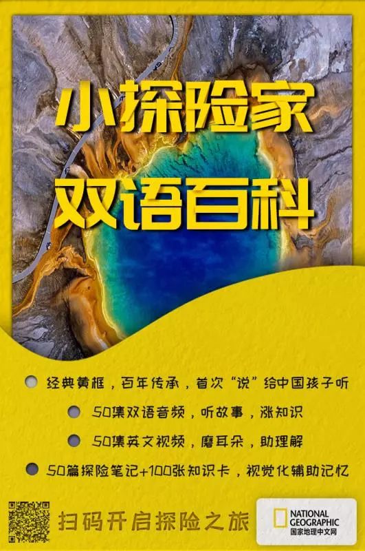 南京古寺看萤火,南京萤火虫在灵谷寺还是明孝陵