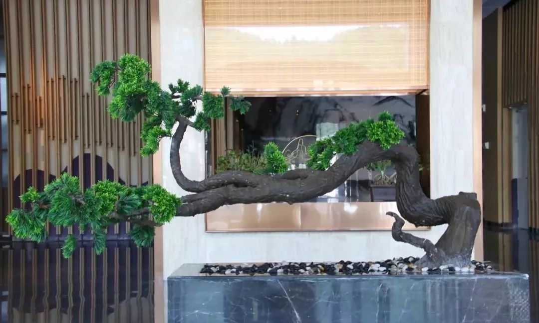 小众旅游景点五星级酒店,5a景区住宿旅馆