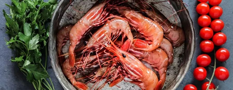 雅致梦溪山庄餐厅抖音团购,雅致梦溪山庄下午茶