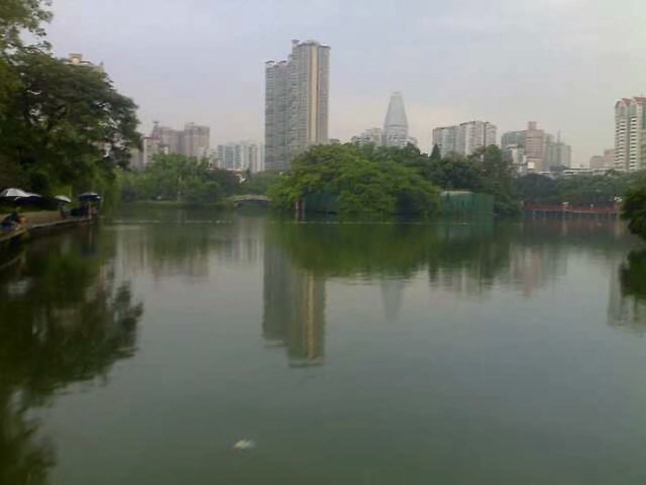 罗非的正确吃饵方法,钓罗非的心得和经验