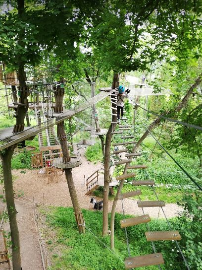 鏍戦《鎺㈤櫓鍏洯娓哥帺,鏍戦《鎺㈤櫓鍏洯娓哥帺鏀荤暐