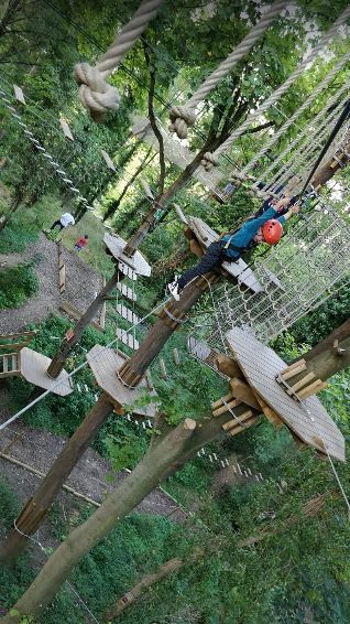 鏍戦《鎺㈤櫓鍏洯娓哥帺,鏍戦《鎺㈤櫓鍏洯娓哥帺鏀荤暐