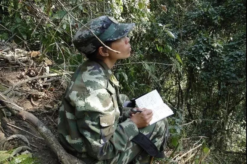 小动物科普活动,动物科普活动