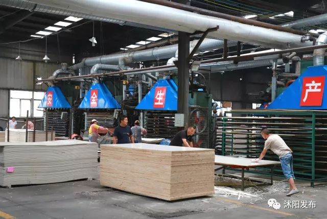 跟着书记县长去观摩，看沭阳七月“美景”红似火！