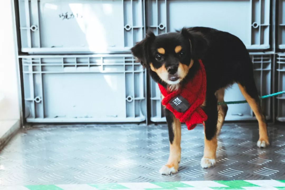 魔都咖啡地图,魔都人气咖啡图鉴