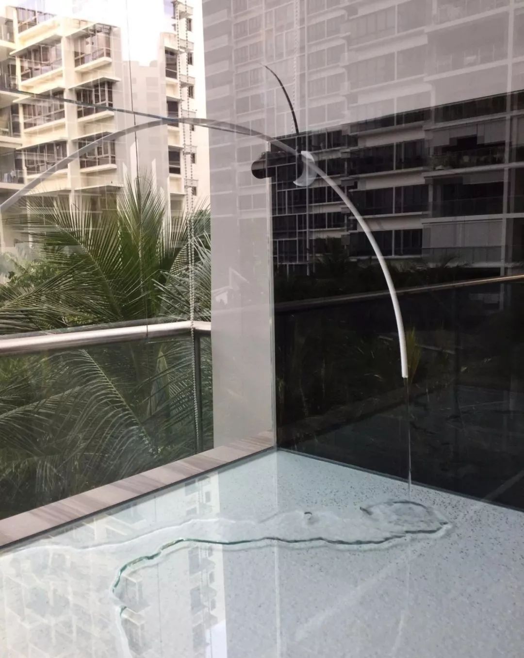 新开缸每天都有鱼死,新开缸鱼一直死