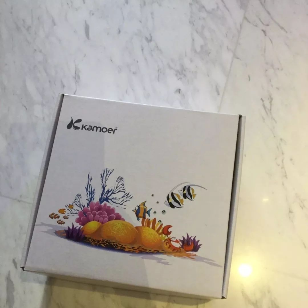 新开缸每天都有鱼死,新开缸鱼一直死