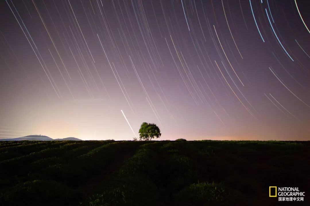 南京古寺看萤火,南京萤火虫在灵谷寺还是明孝陵