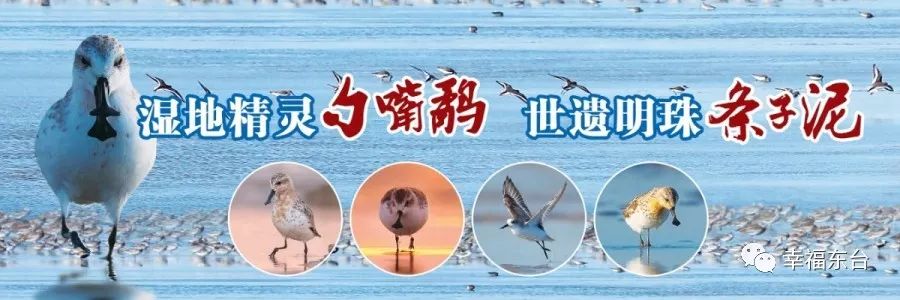 东台四镇二村被淘宝点名！