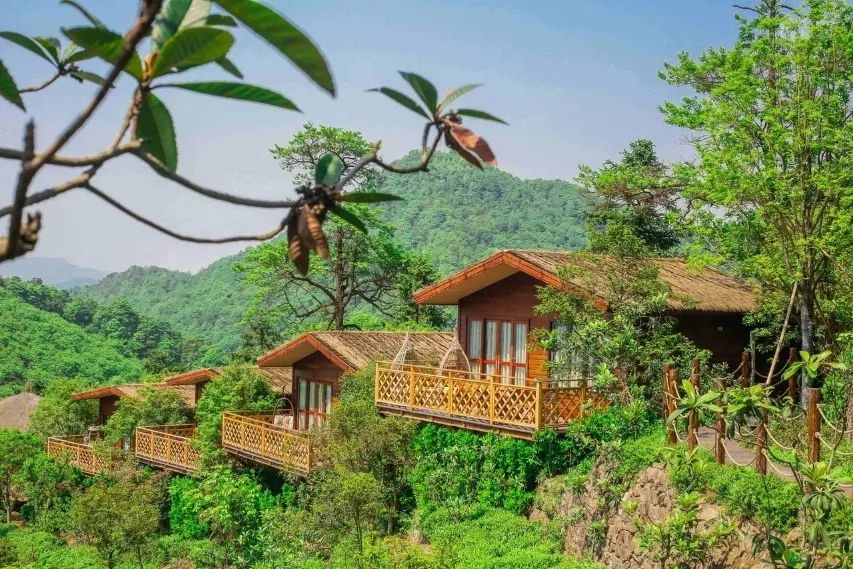 全球最受欢迎树屋酒店｜夜晚坠入大自然的梦乡，清晨在森林的枝桠间醒来