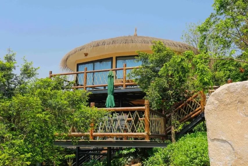 全球最受欢迎树屋酒店｜夜晚坠入大自然的梦乡，清晨在森林的枝桠间醒来