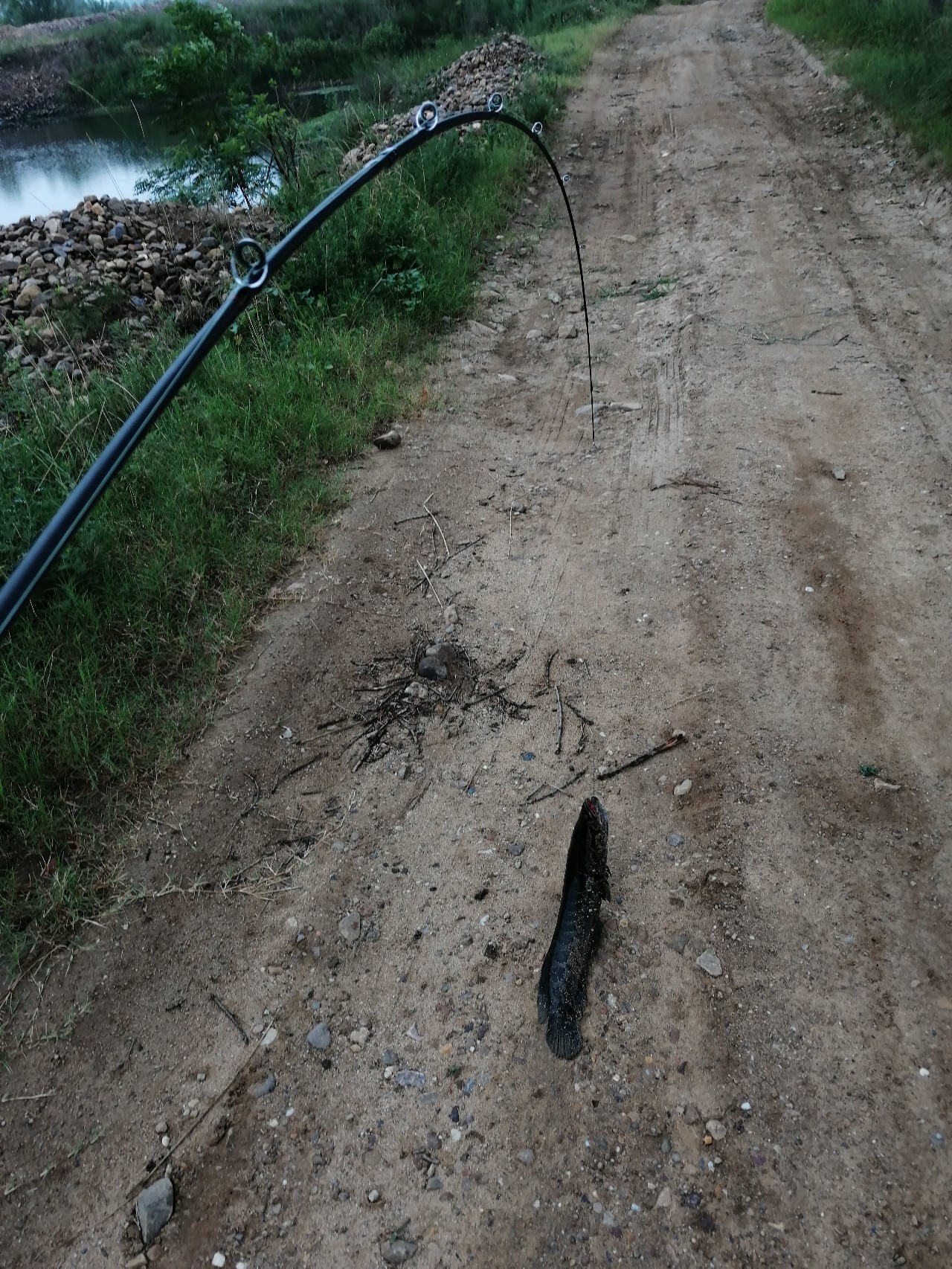 鱼口轻不中鱼掌握这三点轻松爆护,打黑障碍多鱼口滑怎么解决