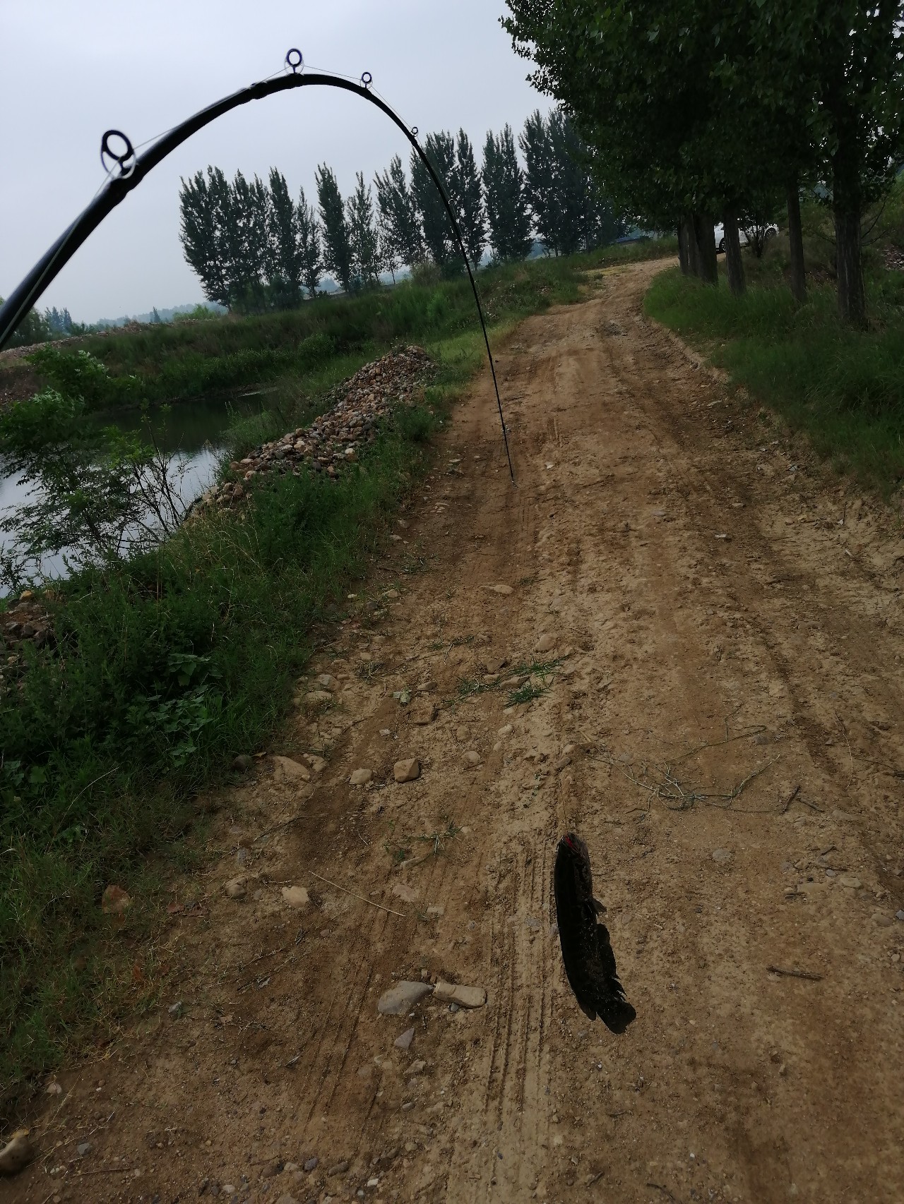 鱼口轻不中鱼掌握这三点轻松爆护,打黑障碍多鱼口滑怎么解决