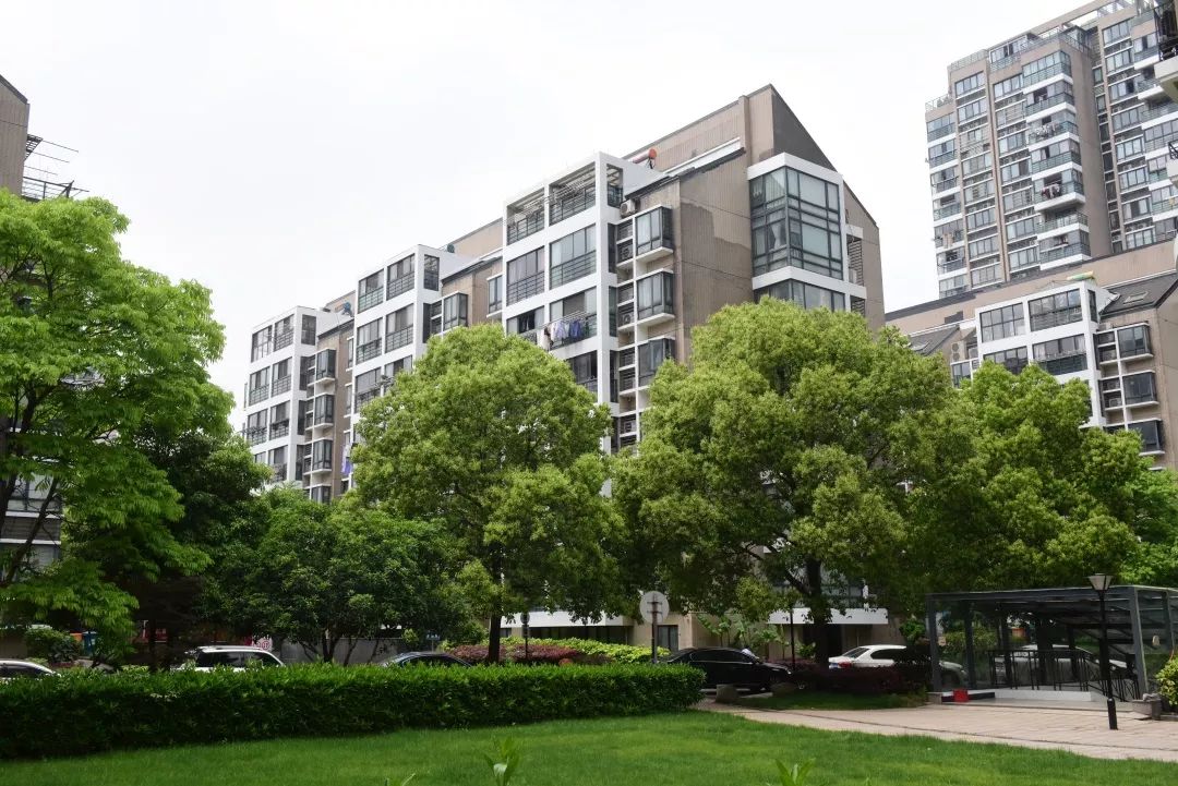 西兴街道17个社区，晒出半年成绩单~