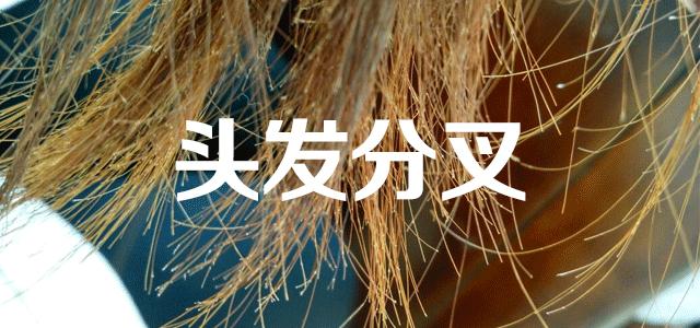 澶村彂娲楁姢濂楄浜у搧鎺ㄨ崘,澶村彂骞叉灟娲楁姢濂楄