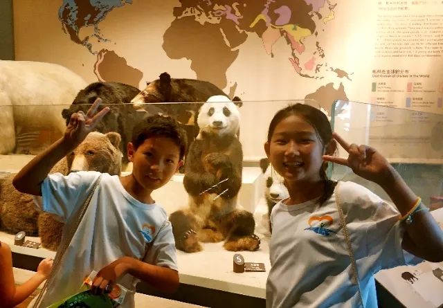 青少年暑期七彩夏令营系列活动,暑假夏令营让你嗨翻天