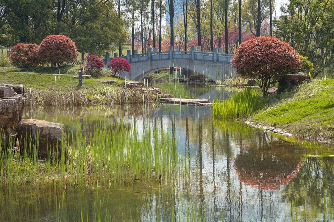 天呐!武汉这个区开挂了!反正我是羡慕了!