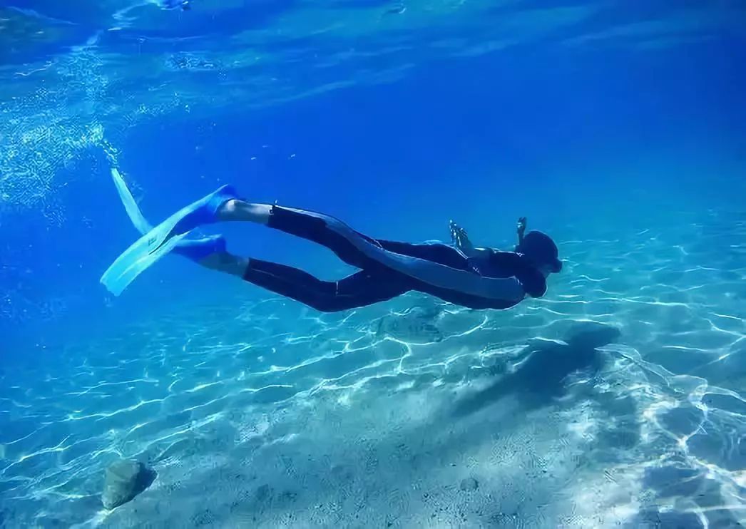 海洋生态环保主题方案,海洋生态环境科普保护宣传视频