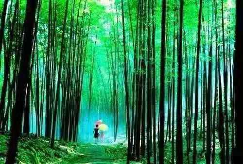 神灵寨给你普及夏季旅行安全隐患小常识