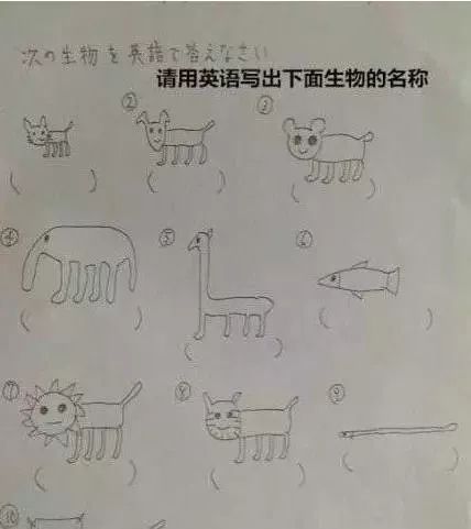 当代教师图鉴全集,当代老师图像