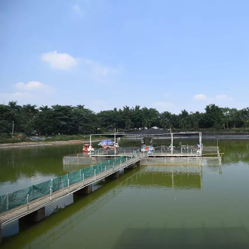 湛江有没有好景点,湛江有没有什么景点