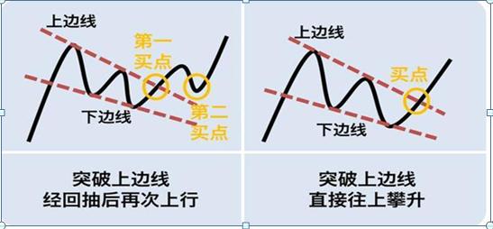 一个猴子的故事大全,一个猴子真实故事