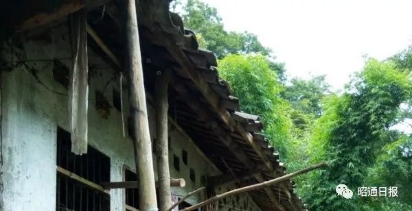 主动请缨从昆明下盐津！王健骅：脱贫攻坚领跑第一线