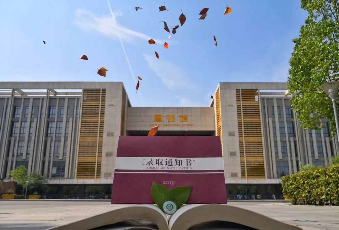 河南高校花式录取通知书,大学录取通知书河南省