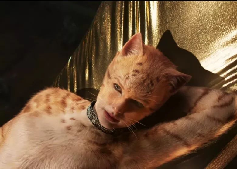 乐坛大佬组团关门“搞副业”，小清新入职报道狂减40斤？