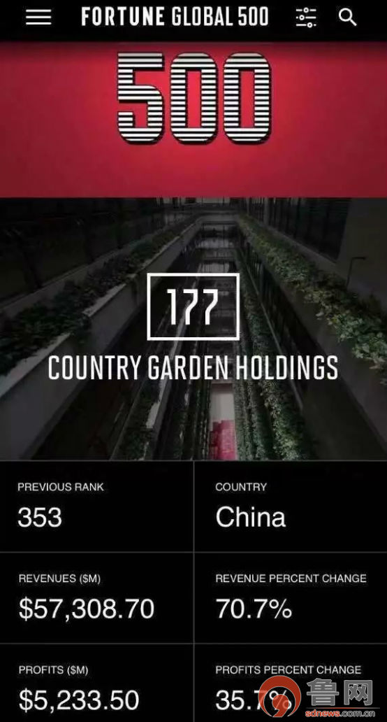 碧桂园服务是500强吗,碧桂园财富500强全球房地产第一