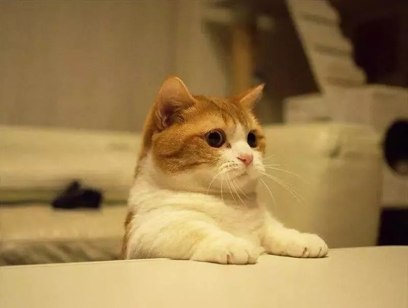 嗜物所|百搭渔网包，帮你打捞出属于夏天的时尚