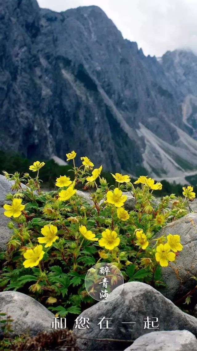 青海别称,青海省的代表美景是什么