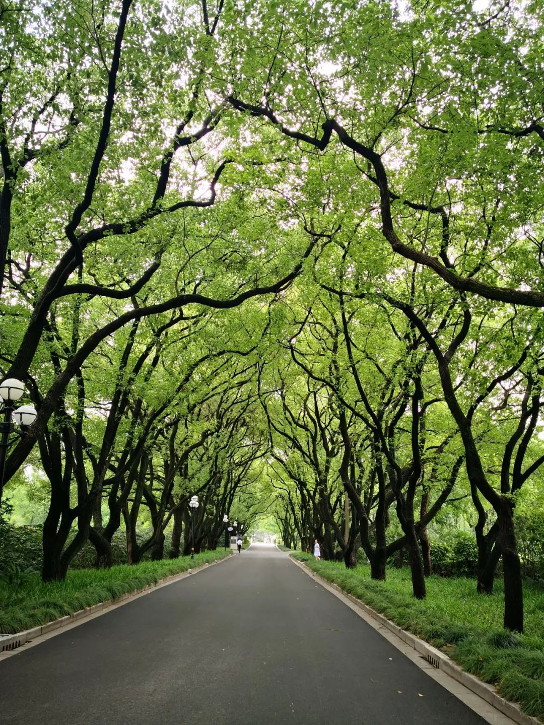 西郊宾馆美如画,西郊宾馆5000平别墅