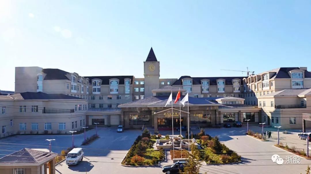 东北大规模企业破产之谜,金马控股转让