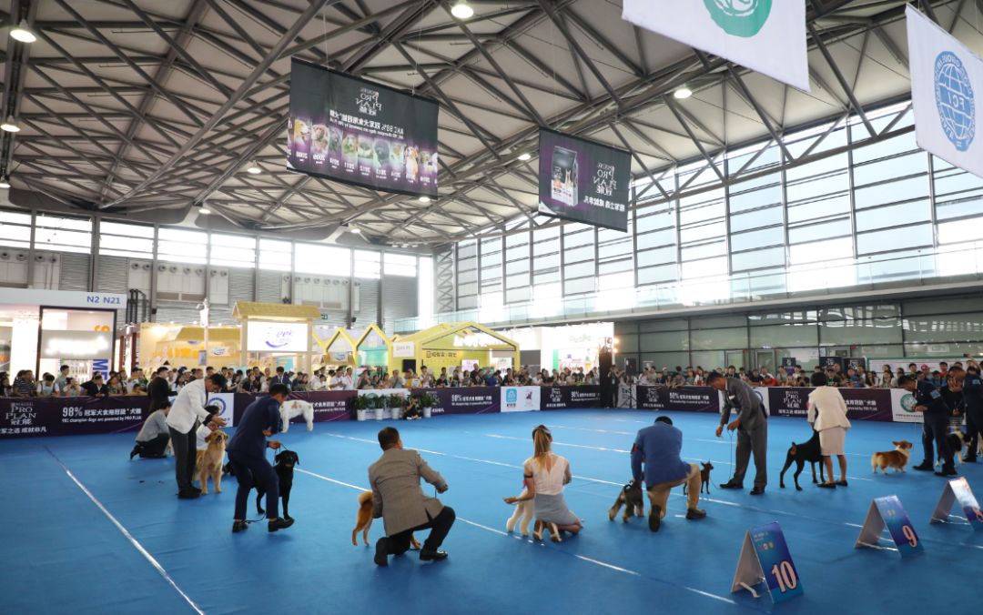 23届亚洲宠物展集结,宠物亚洲展