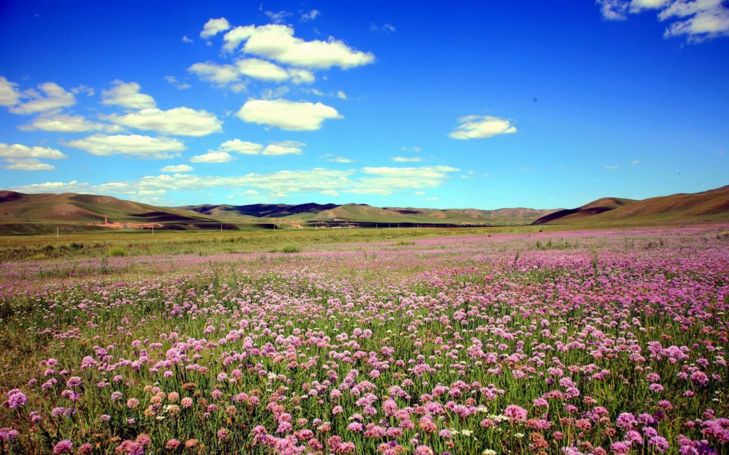 漫游冀（60）|这是什么“神仙”景色？名叫“国家一号风景大道”，拥有世界级景观群！