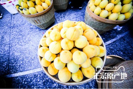 炎陵黄桃品牌,炎陵黄桃品牌排行