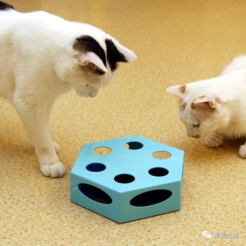 骞歌繍鍦熺尗,骞歌繍鍦熺尗涔夊崠灏忛摵