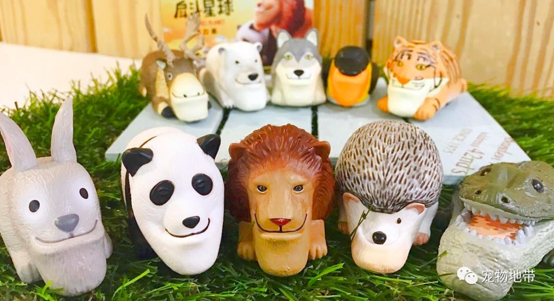 猫咪误吃虫子一直流口水,猫咪被黄蜂蛰了有什么反应